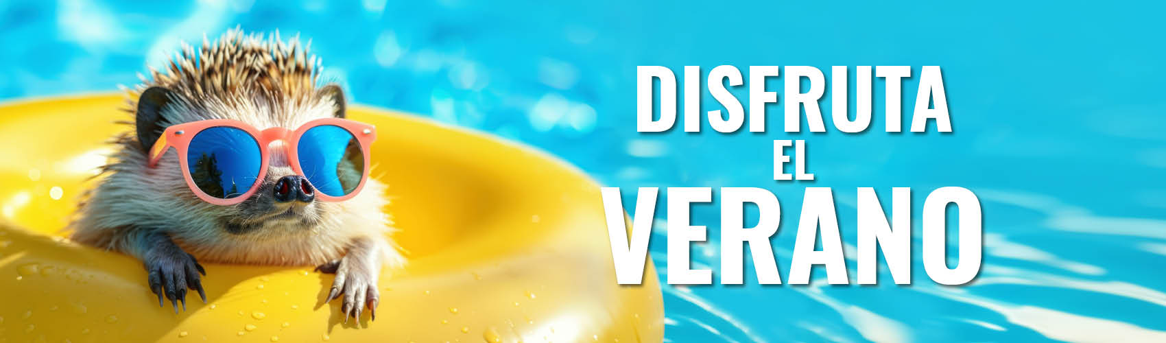 Bulevar_Verano26_banner web